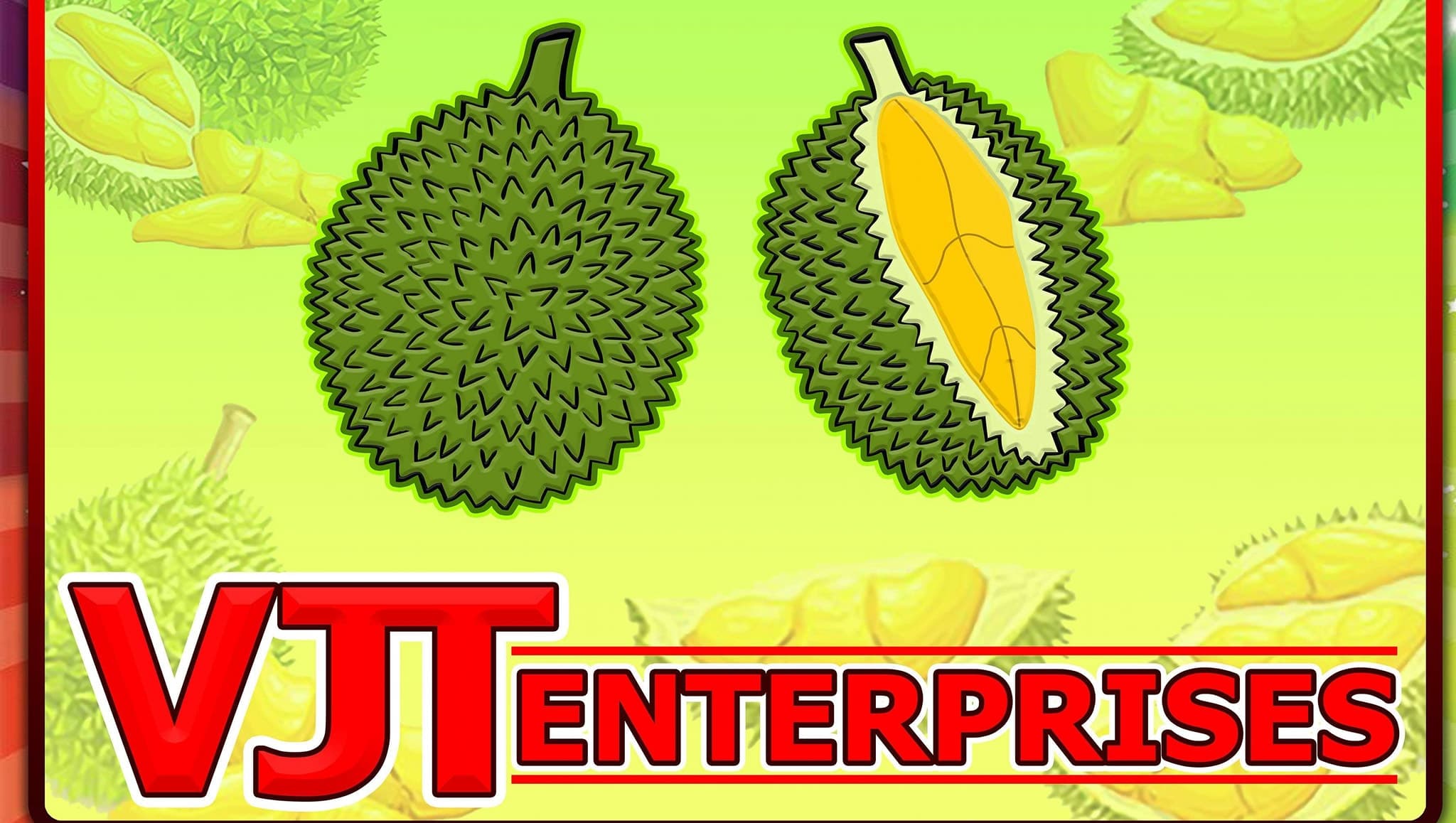 VJT Enterprises