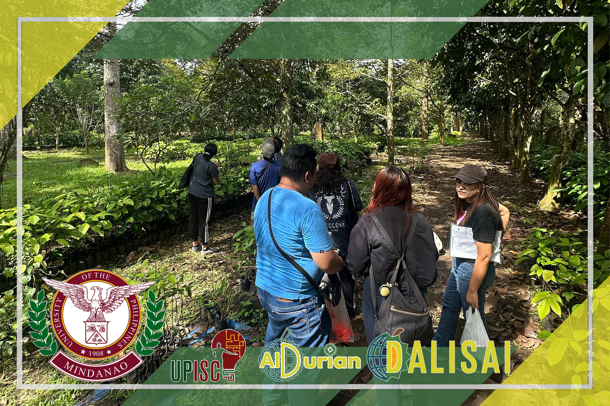 Close-up of durian flower buds at various stages