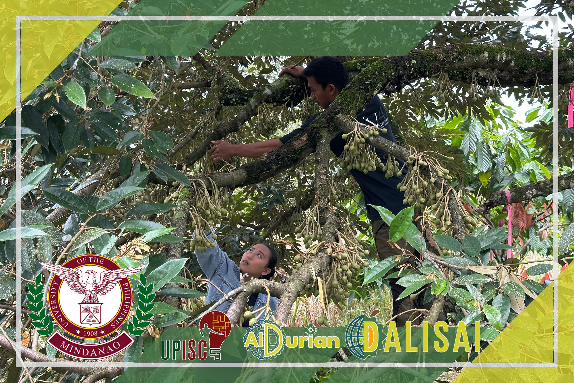 Partner farm owners and DALISAI team collaborating