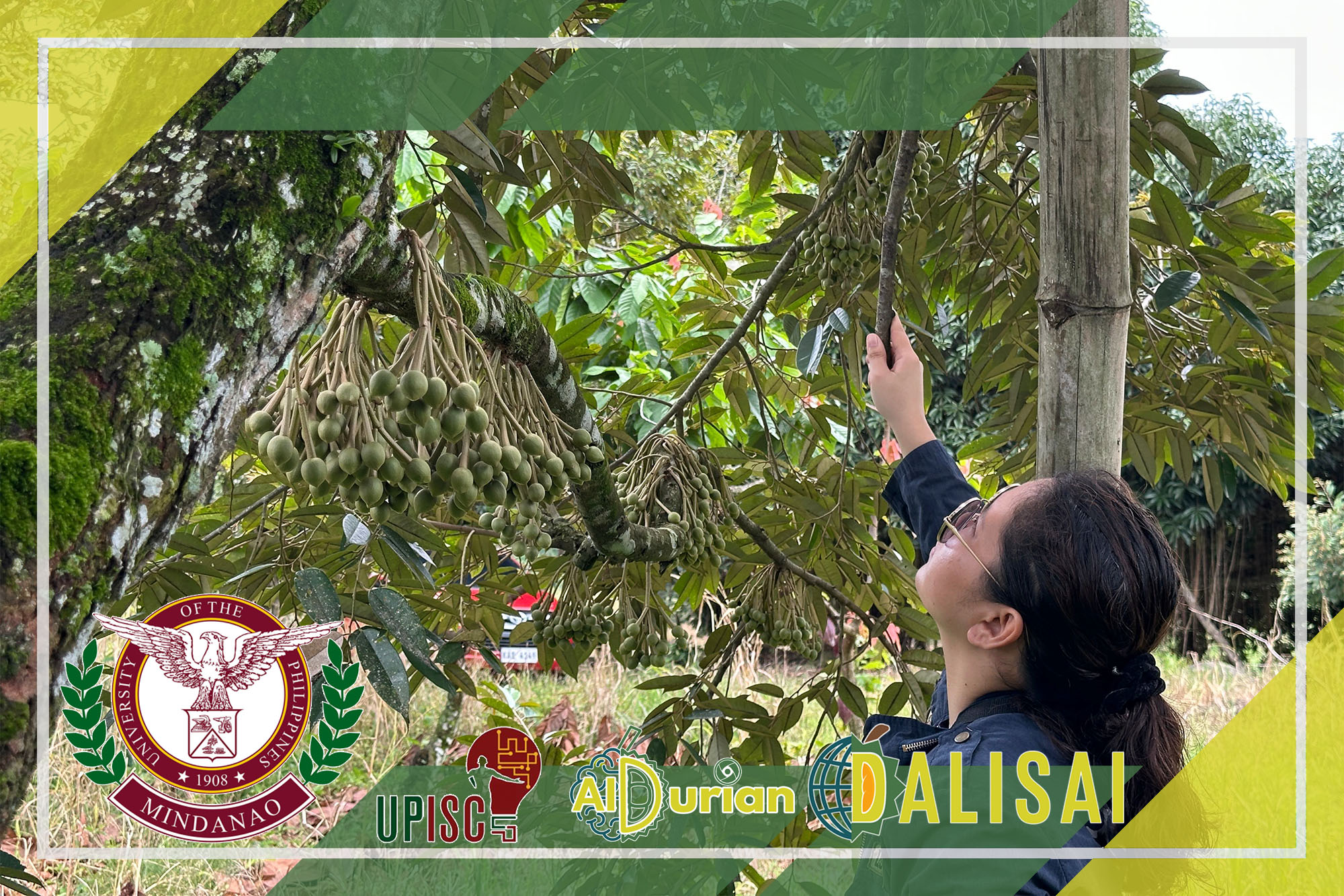 Soil monitoring and environmental data collection setup