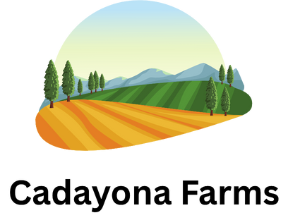 Cadayona